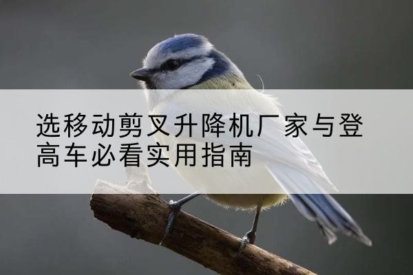 合浦电动升降机厂家-选移动剪叉升降机厂家与登高车必看实用指南