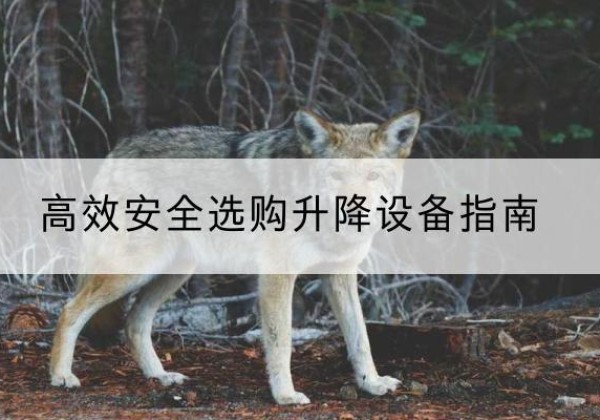 合浦升降货梯厂家推荐-*安全选购升降设备指南