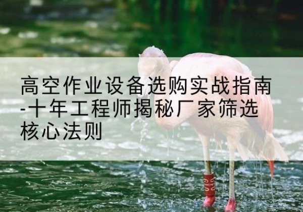 合浦剪叉式升降机厂家-高空作业设备选购实战指南-十年工程师揭秘厂家筛选核心法则